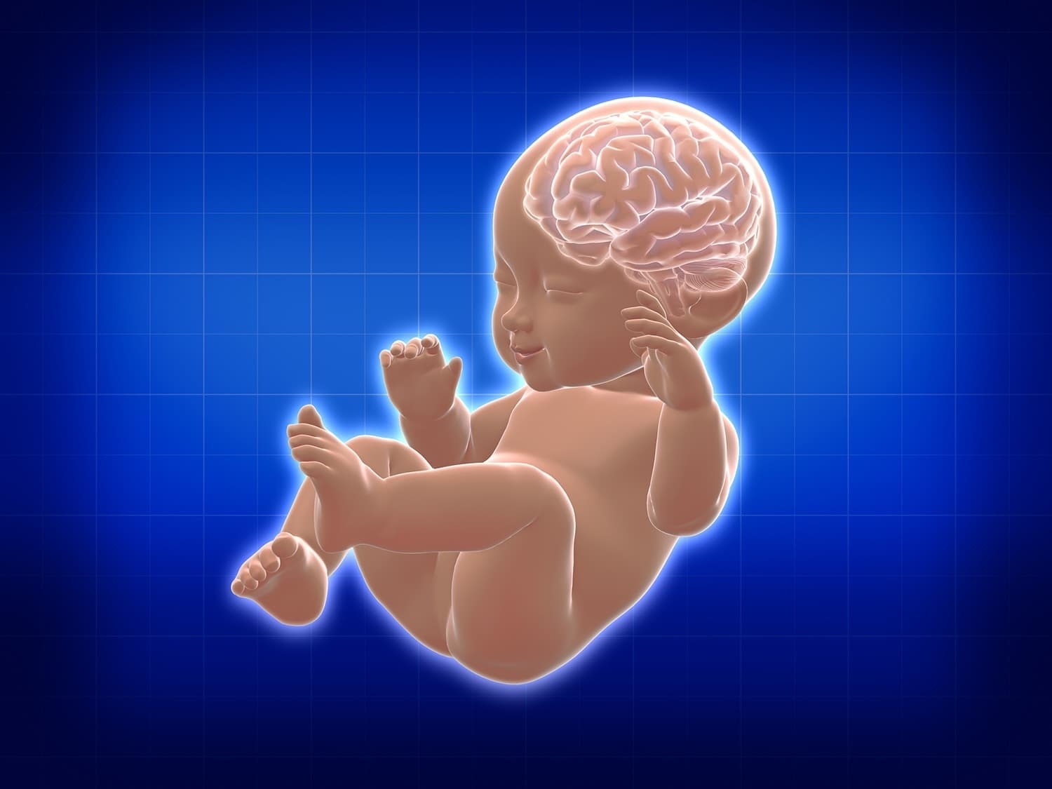 วิธีเลี้ยงลูกให้ฉลาด ความจำดี มีพัฒนาสมองที่สมวัยตั้งแต่แรกเกิด - 6 ขวบ
