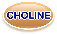 S-26 Gold Pro - Choline