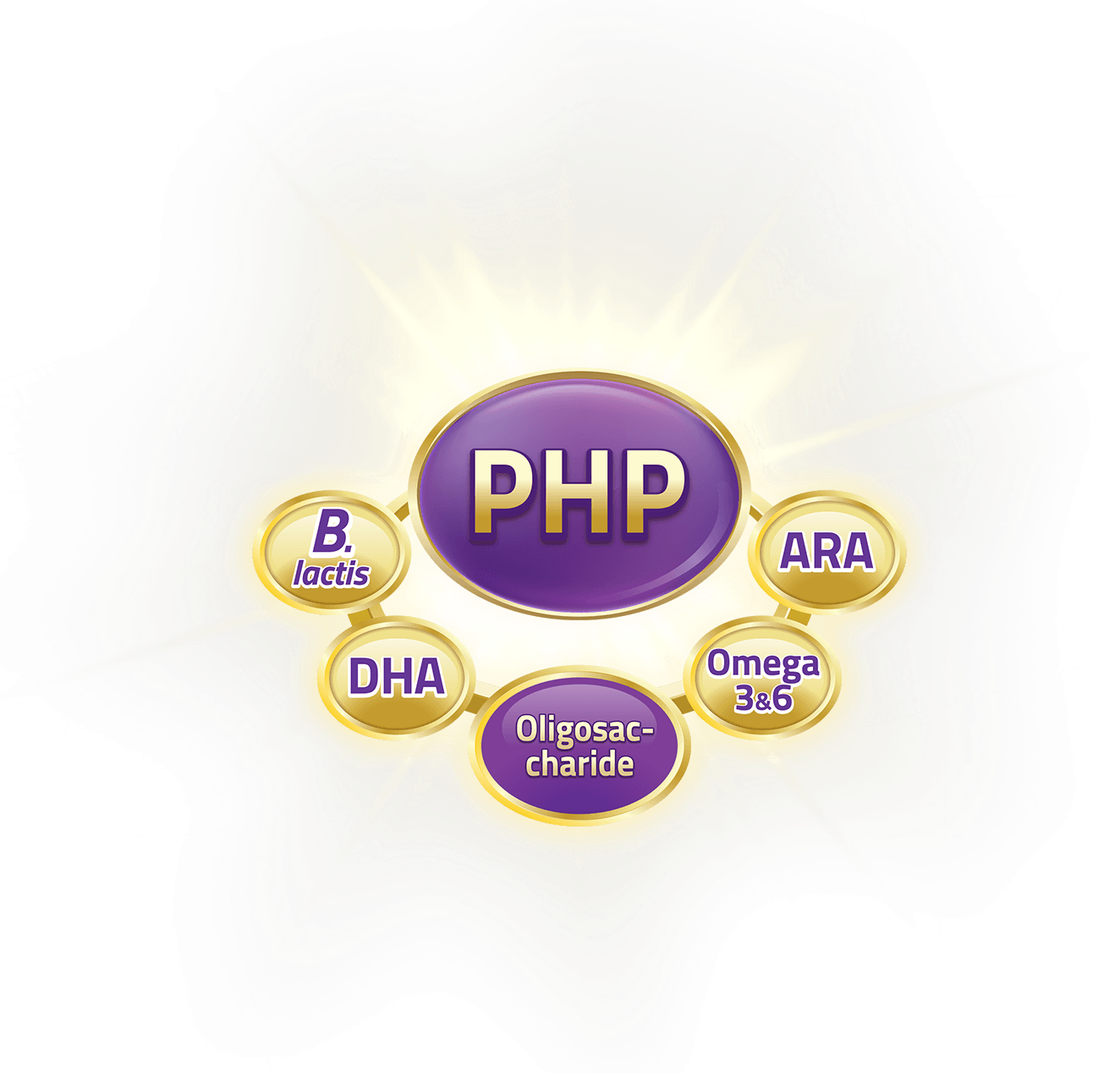 s26_ha3_section3_php