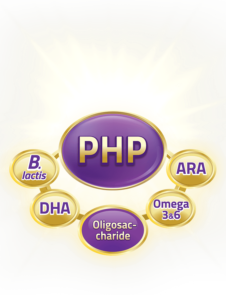 s26_ha3_section3_php_mb
