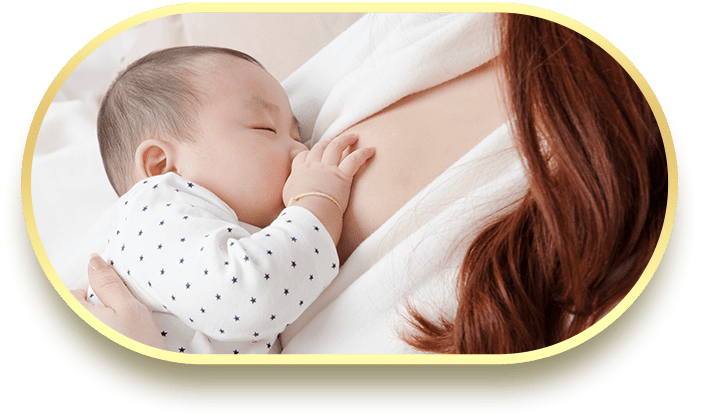 แอลฟาแล็ค สฟิงโกไมอีลิน สารอาหารที่พบในนมแม่