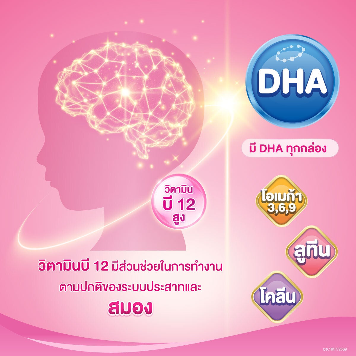 DHA ช่วยพัฒนาสมอง