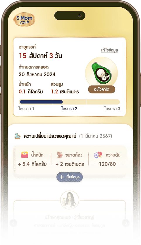 Womb development ตามติด 9 เดือนในครรภ์ของลูกน้อย