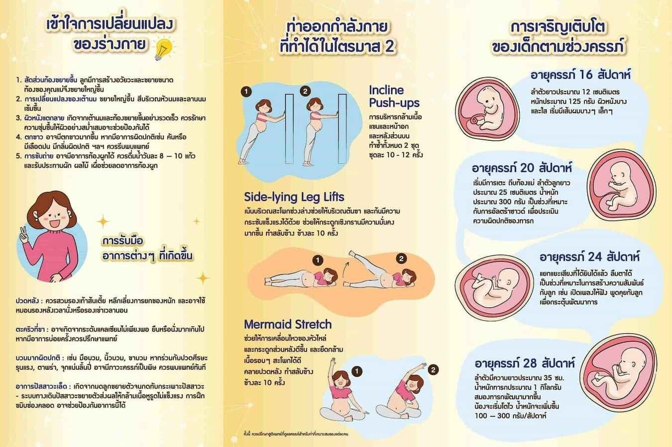 ท่าออกกำลังกายสำหรับคุณแม่ตั้งครรภ์ไตรมาส 2
