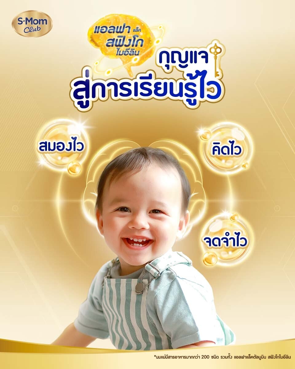 ภาพอินโฟกราฟิกแอลฟาแล็ค สฟิงโกไมอีลินเป็นกุญแจสู่การเรียนรู้