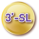 3’-ไซอะลิลแลคโตส (3’-เอสแอล)