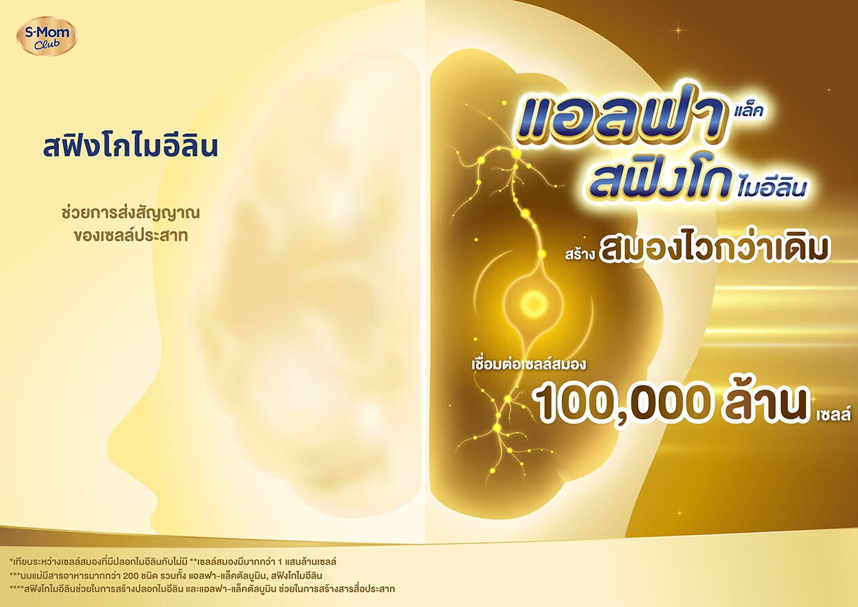 แอลฟาแล็ค สฟิงโกไมอีลิน สร้างสมองไวกว่าเดิม