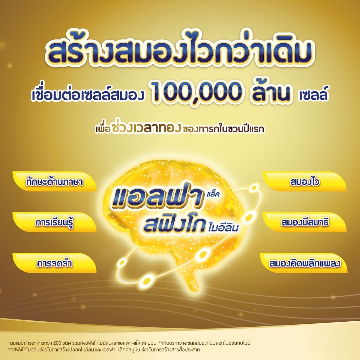 ภาพอินโฟกราฟิกสร้างสมองไวกว่าเดิมด้วยแอลฟาแล็ค สฟิงโกไมอีลิน