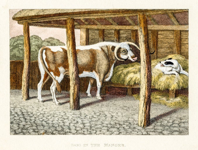 นิทานอีสปสั้นๆ เรื่อง หมาอยู่ในรางหญ้า