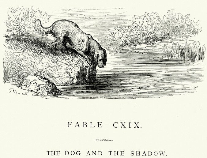 นิทานอีสปสั้นๆ เรื่อง หมากับเงา