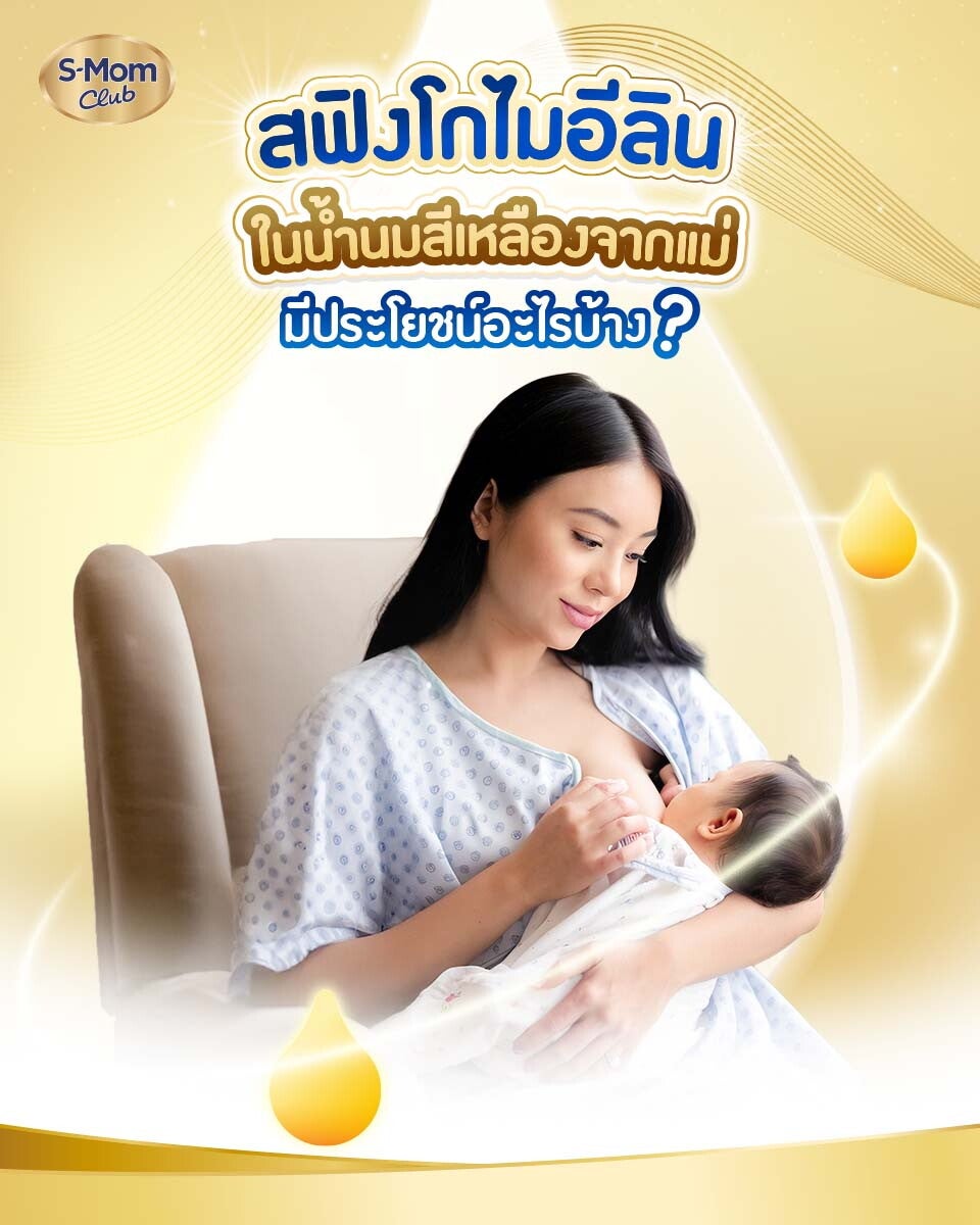 แอลฟาแล็ค สฟิงโกไมอีลินในน้ำนมสีเหลืองมีประโยชน์อะไร