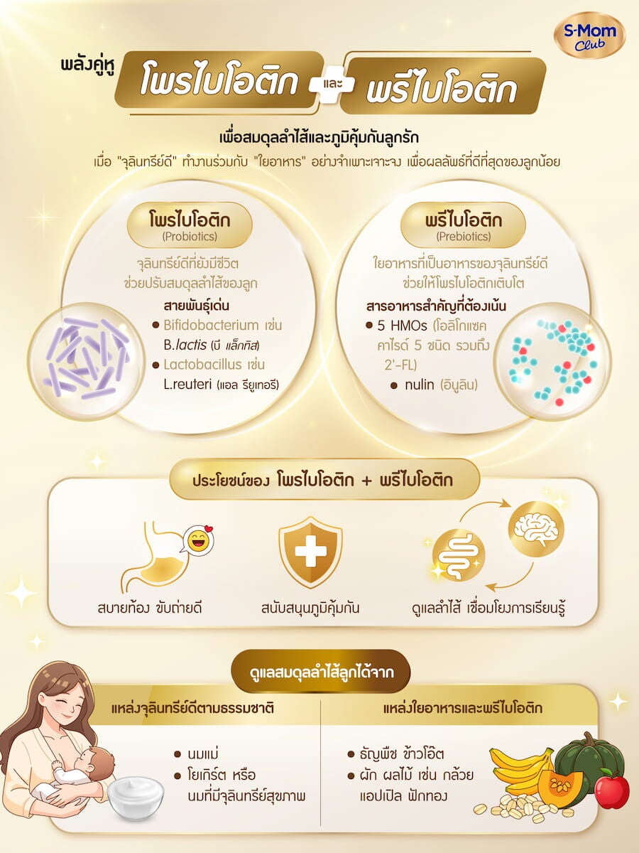 พลังคู่หูโพรไบโอติก และ พรีไบโอติก