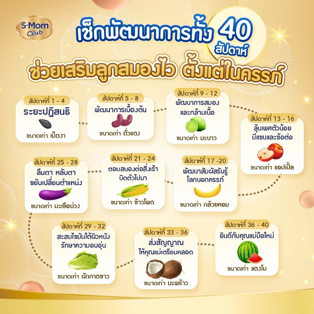 ตารางพัฒนาการทารกในครรภ์ 40 สัปดาห์และการเปรียบเทียบขนาดตามอายุครรภ์