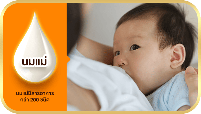 นมแม่มีสารอาหารกว่า 200 ชนิด