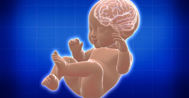 สุดยอดวิธีพัฒนาสมองลูกตั้งแต่แรกเกิดถึง 6 ปี
