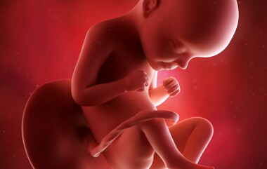 40 สัปดาห์มหัศจรรย์ ตามติดพัฒนาการลูกน้อยในครรภ์ ตั้งแต่สัปดาห์แรกจนคลอด 