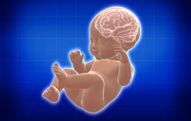 สุดยอดวิธีพัฒนาสมองลูกตั้งแต่แรกเกิดถึง 6 ปี