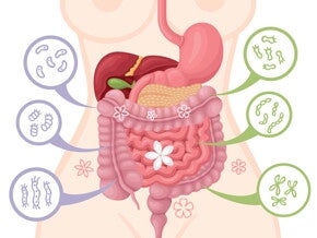 พรีไบโอติกสำหรับเด็ก สารอาหารเสริมภูมิคุ้มกัน ดีต่อสุขภาพลูก