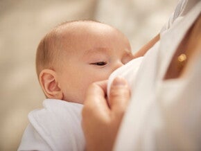 อาหารแม่ให้นม 10 เมนูสร้างน้ำนม บำรุงสุขภาพแม่และลูกน้อย