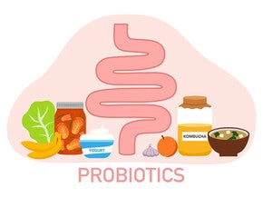 โพรไบโอติกคืออะไร? probiotic คืออะไร ทำไมถึงเกี่ยวกับลำไส้ลูก