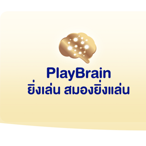 PlayBrain ยิ่งเล่น สมองยิ่งแล่น โปรแกรมฝึกทักษะ EF พัฒนาสมอง PlayBrain ยิ่งเล่น สมองยิ่งแล่น โปรแกรมฝึกทักษะ EF พัฒนาสมอง