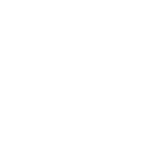 PREGNANCY PREGNANCY
