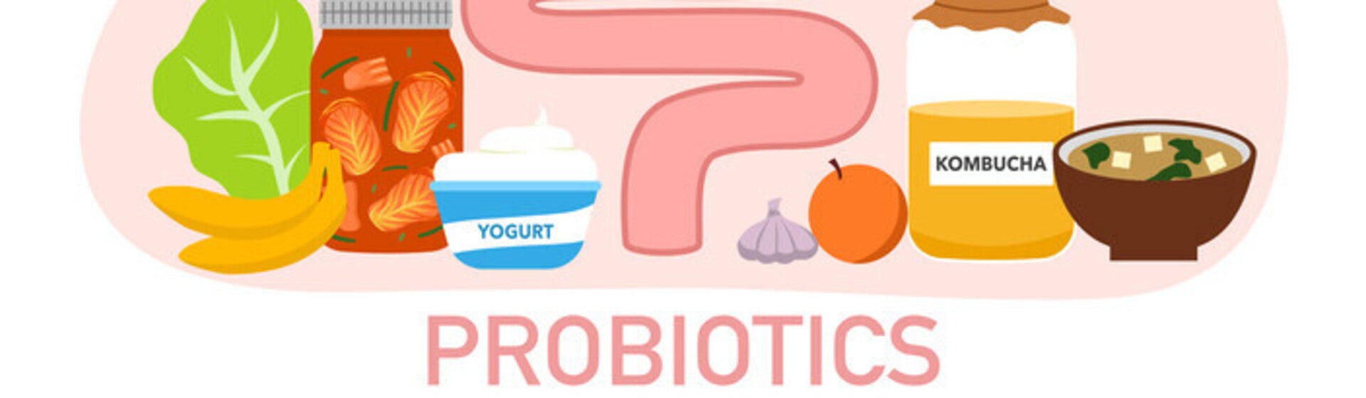 โพรไบโอติกคืออะไร? probiotic คืออะไร ทำไมถึงเกี่ยวกับลำไส้ลูก