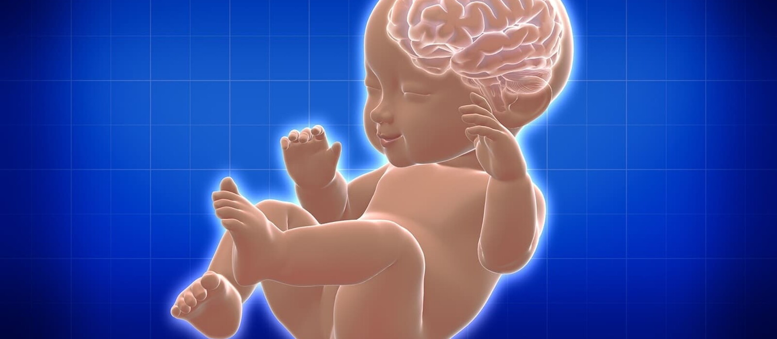 วิธีเลี้ยงลูกให้ฉลาด สมองไว ตั้งแต่แรกเกิด ถึง 6 ปี