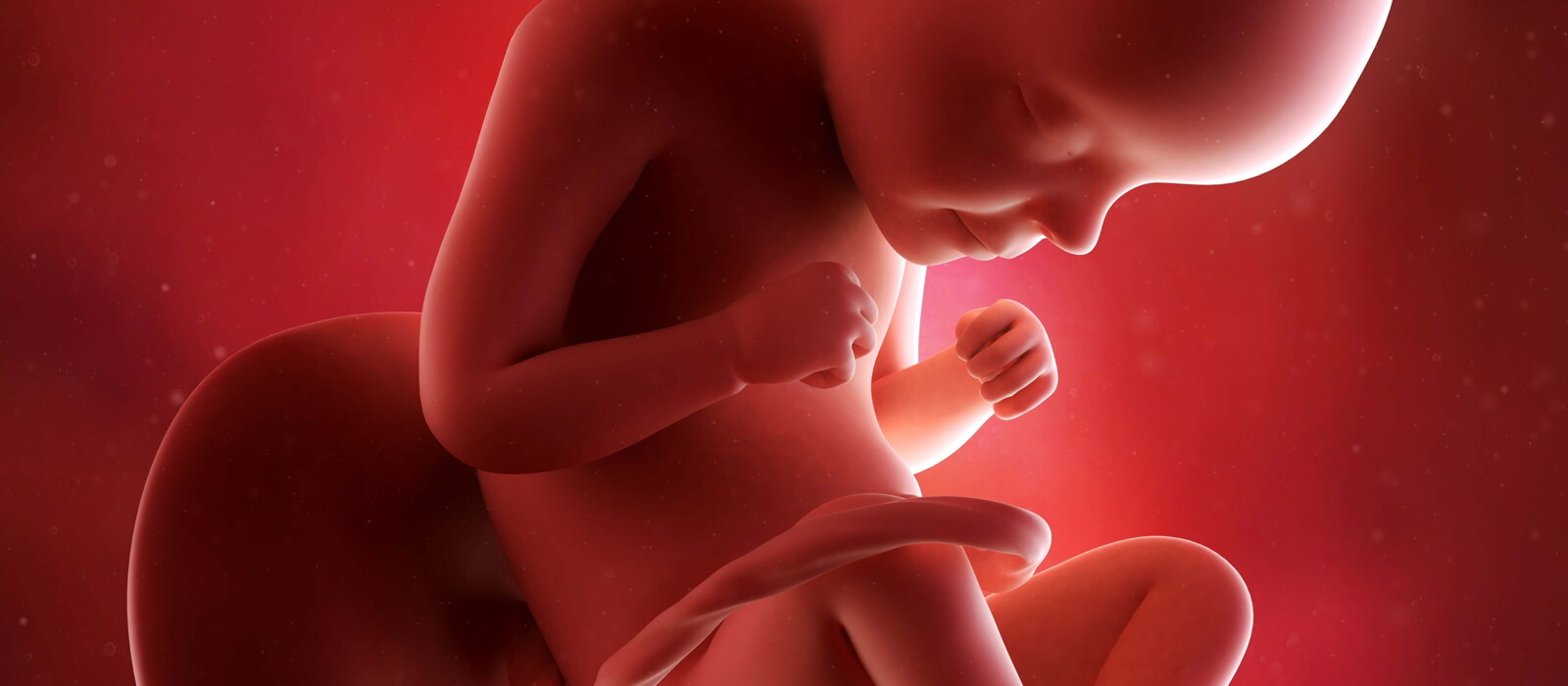 พัฒนาการทารกในครรภ์ 1-40 สัปดาห์ ที่แม่มือใหม่ห้ามพลาด